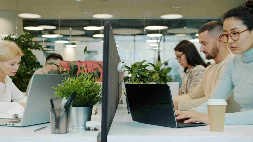 Why the Best SEO Company in Dubai Is Essential for Sports and Wellness Brands